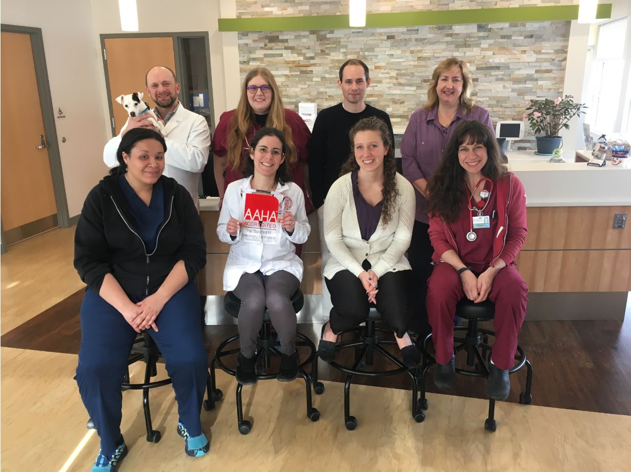 Cornell’s Small Animal Community Practice garners rare accreditation status | Cornell University ...